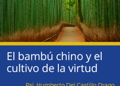 El bambú chino y el cultivo de la virtud