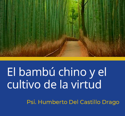 bambu chino y virtud